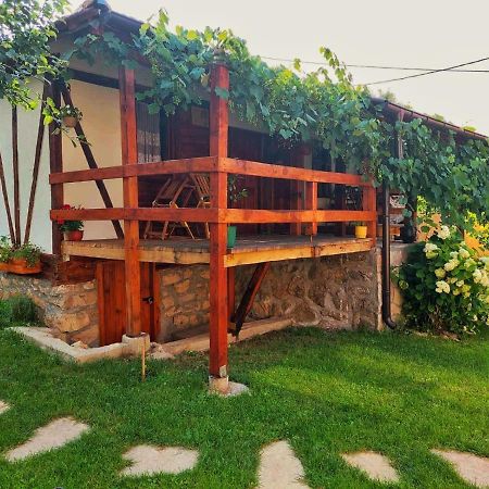 Mitrovic Apartment Boljevac Bagian luar foto