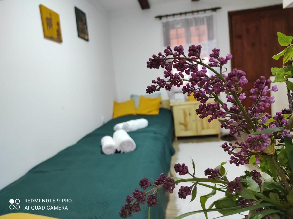 Mitrovic Apartment Boljevac Bagian luar foto