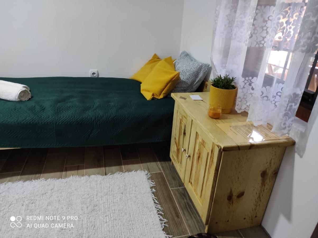 Mitrovic Apartment Boljevac Bagian luar foto