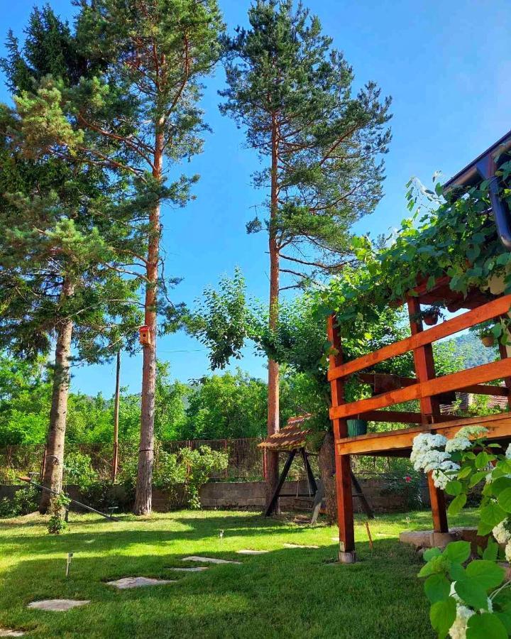 Mitrovic Apartment Boljevac Bagian luar foto