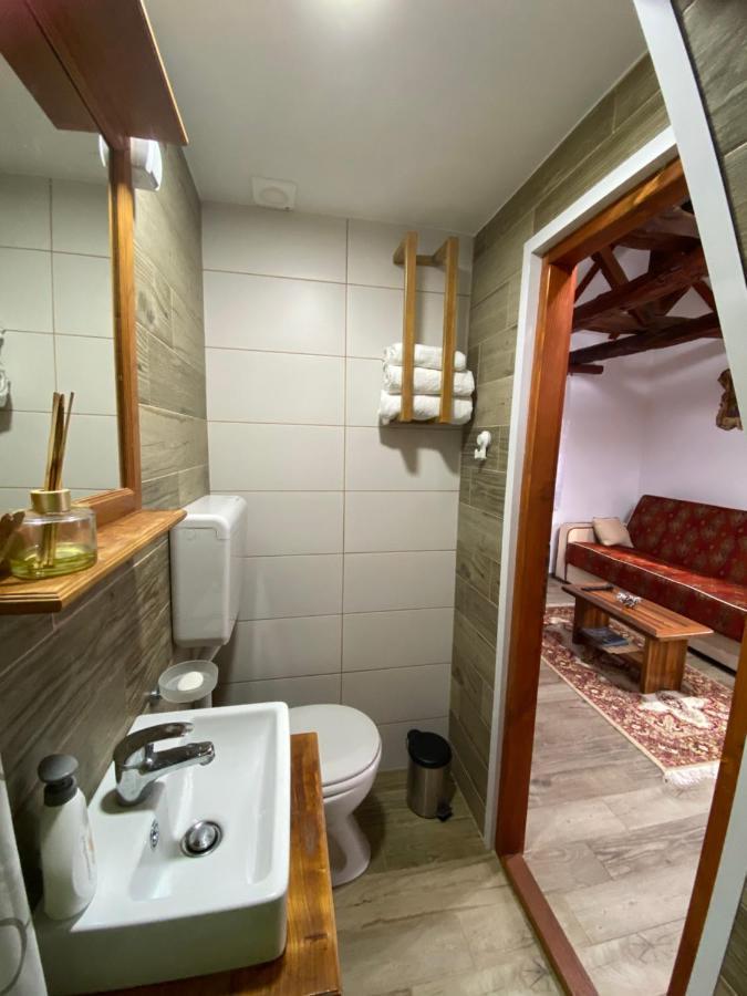 Mitrovic Apartment Boljevac Bagian luar foto