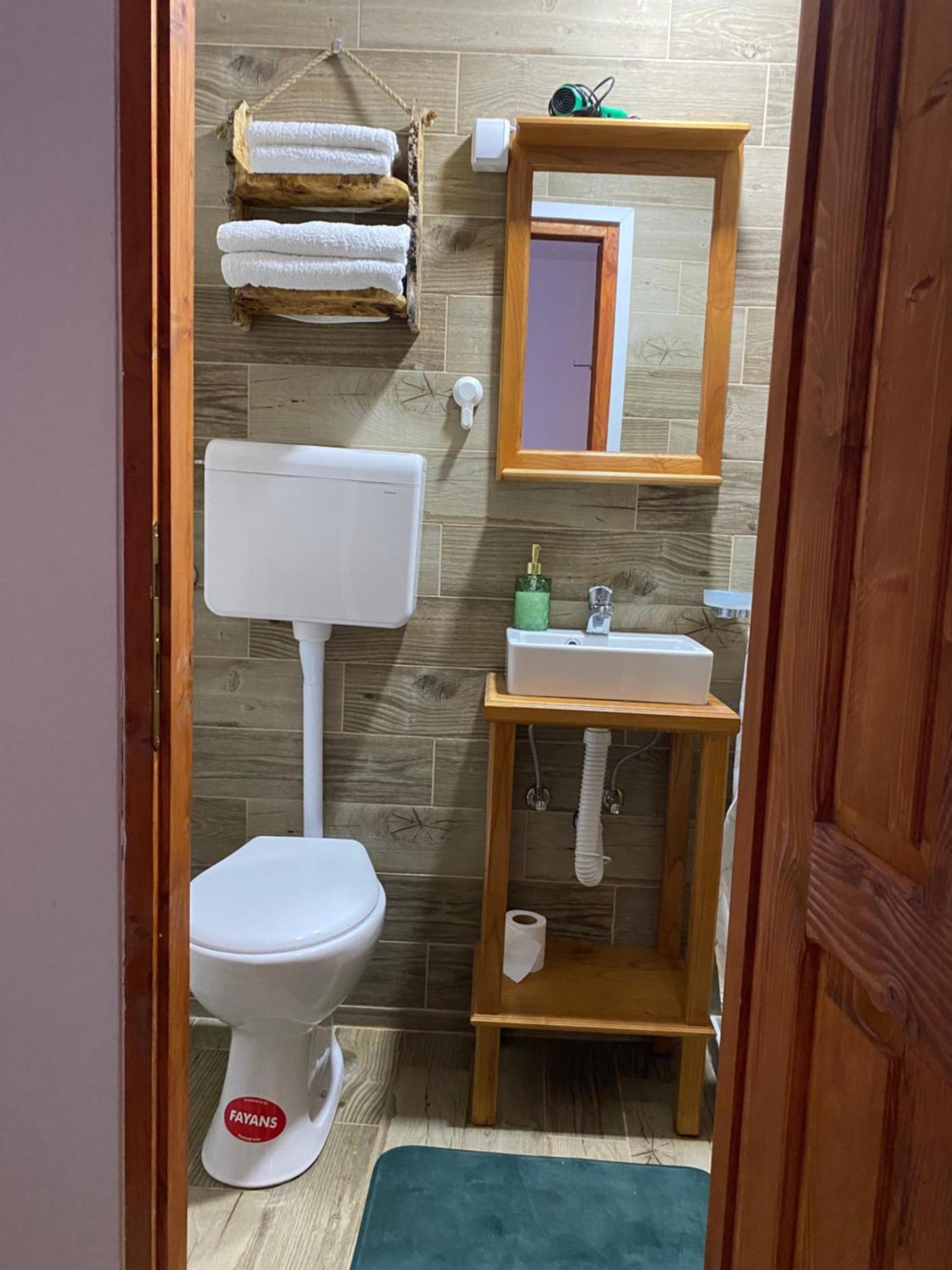 Mitrovic Apartment Boljevac Bagian luar foto