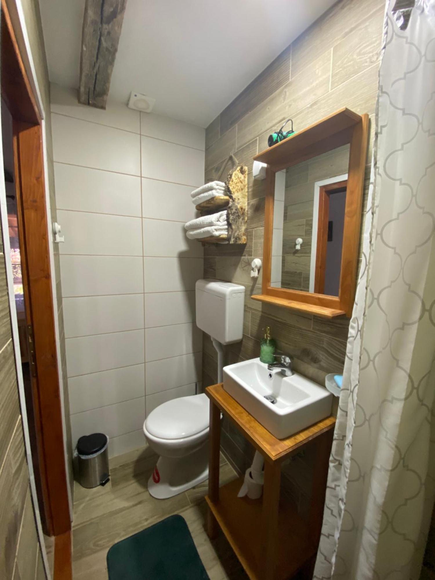 Mitrovic Apartment Boljevac Bagian luar foto