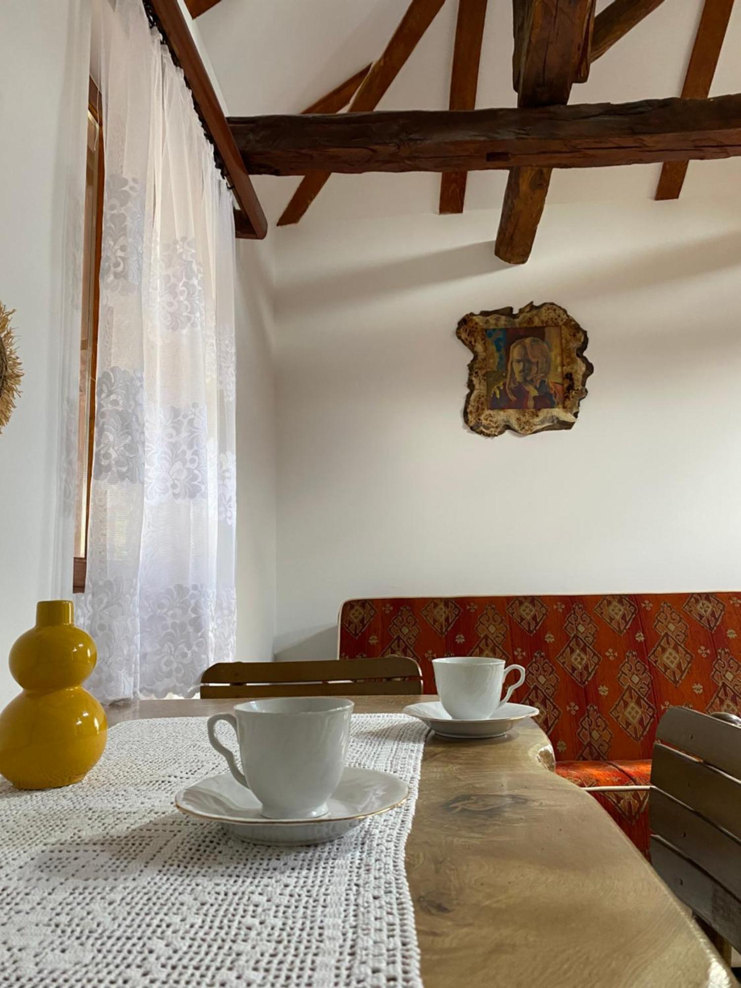 Mitrovic Apartment Boljevac Bagian luar foto